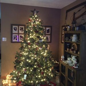 Meet your Posher, Jane